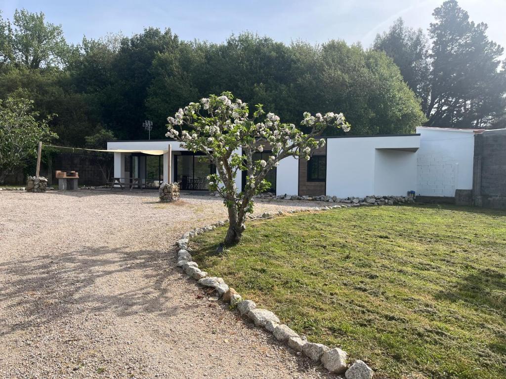 a tree in the middle of a yard with a building at O REMANSO do CORGO in Oleiros