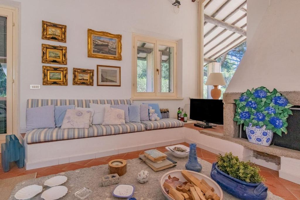 a living room with a couch and a tv at Villa Thalèa Fetovaia in Fetovaia