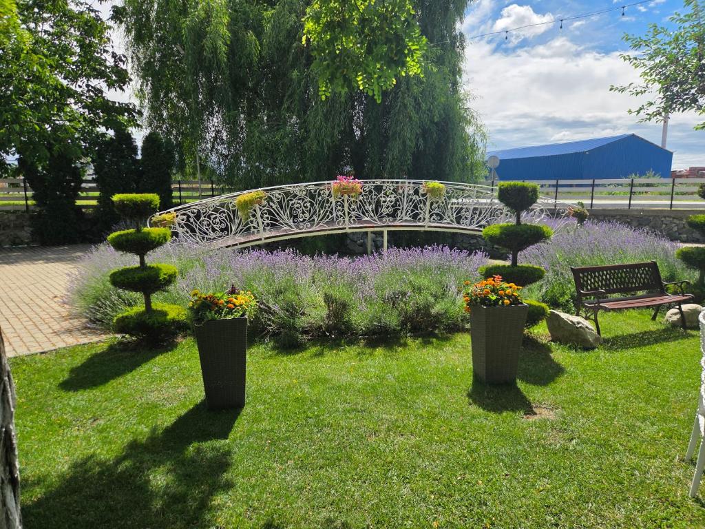 Grădina proprietății