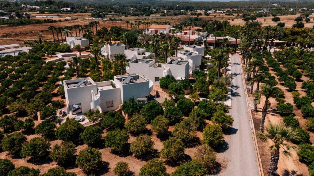 an aerial view of a plantation of palm trees at Can Jaume Private Villas by Ocean Drive in Ibiza Town