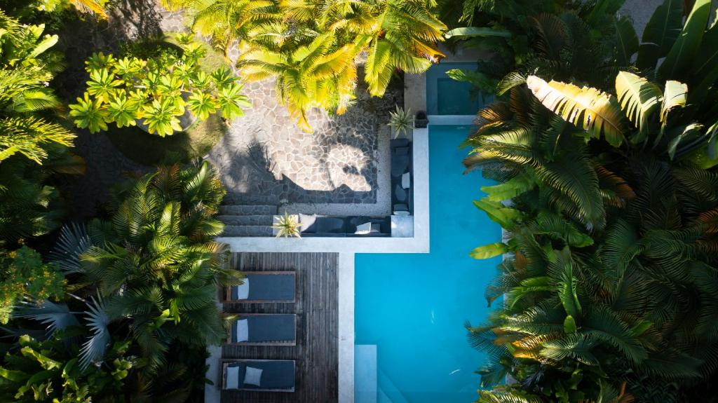 an overhead view of a blue door with palm trees at Lua Villas in Santa Teresa Beach