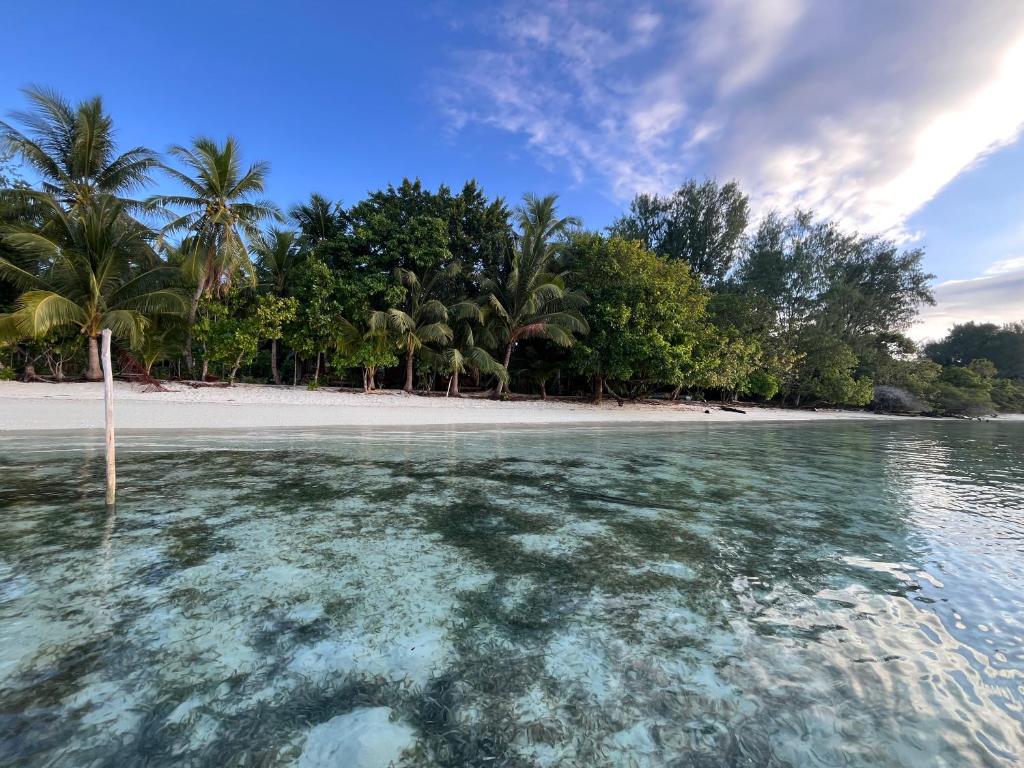 a view of a beach from a boat in the water at Kemmi Homestay Raja Ampat in Merpati