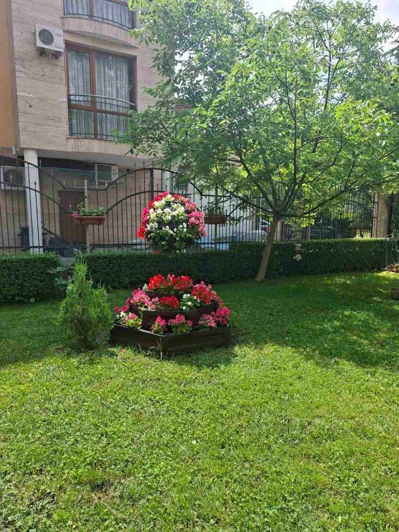 a garden of flowers in front of a house at Hotel Seasons 3 in Sunny Beach
