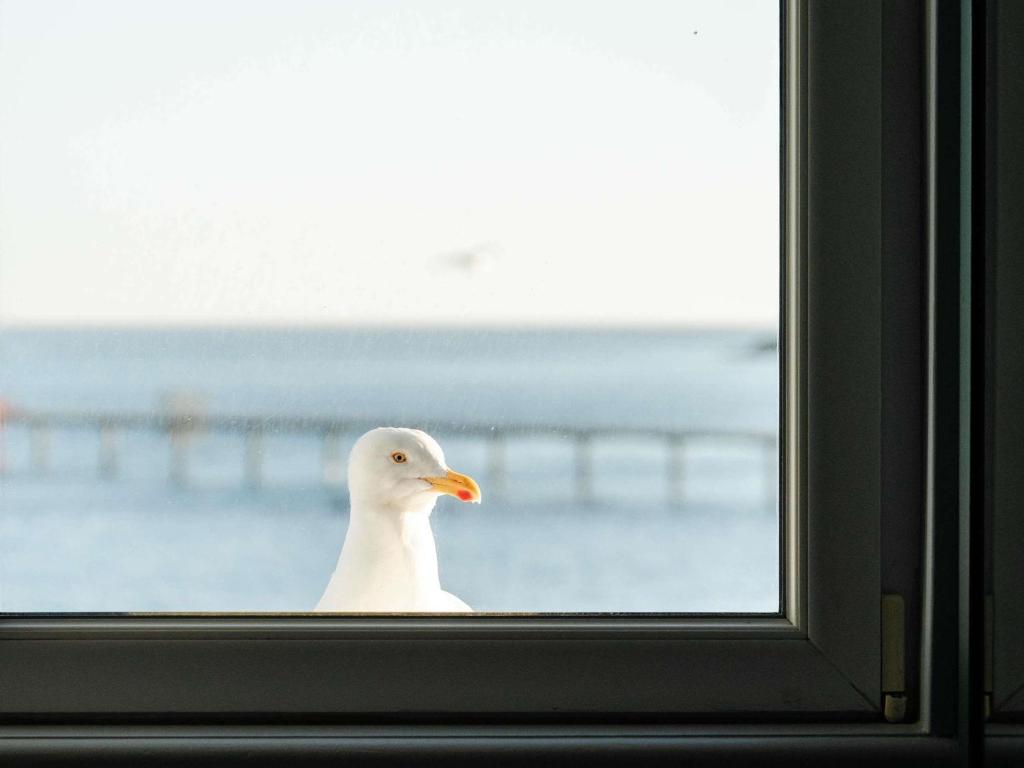 Hotel Mercure Roscoff Bord De Mer - Standard Doppelzimmer Mit Meerblick