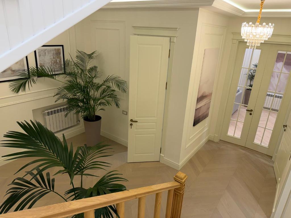 a hallway with a staircase and a potted plant at Casa de prime in Baku