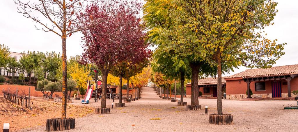 a row of trees in a park in the fall at Bodega Andrés Iniesta con visita y cata in Fuentealbilla