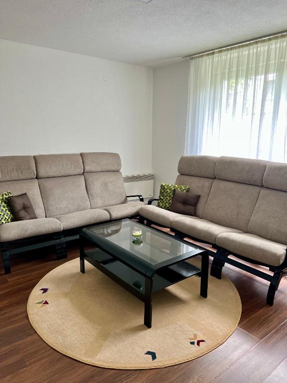 a living room with a couch and a coffee table at WISH Apartment Sarajevo in Sarajevo
