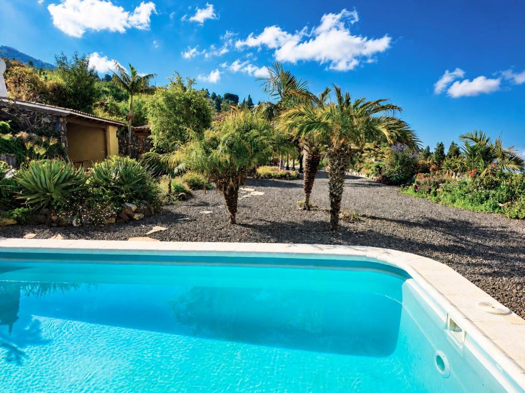 a swimming pool in front of a yard with palm trees at Fide in Tijarafe