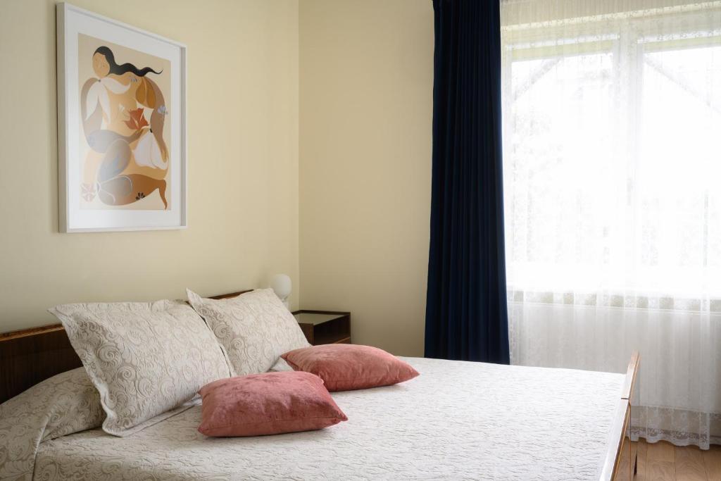 a bedroom with a bed with two pillows and a window at Zofija in Birštonas