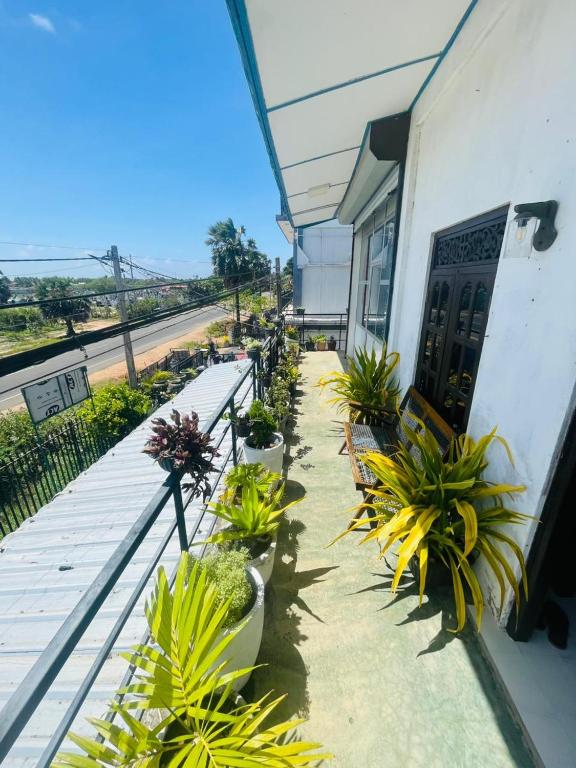 a balcony with a row of potted plants and a building at Blue Heaven in Mannar