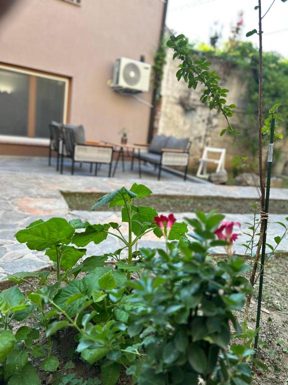 a garden with flowers and a patio with chairs at Apartman Stone Garden 2 in Mostar