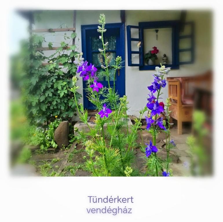 a garden with purple flowers in front of a house at Tündérkert vendégház in Sînsimion