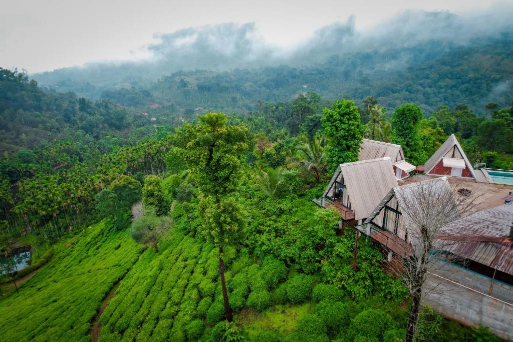an aerial view of a house in a tea plantation at The Breeze Cottage in Kalasa