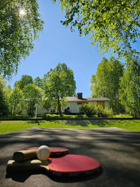 a red skateboard laying on the ground in the street at Cozy Summerhouse by the River with free BIKES and ping pong in Rovaniemi
