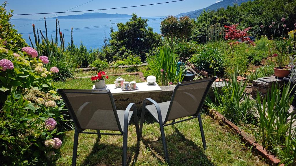 Seaview apartment TAJM GARDEN & private parking