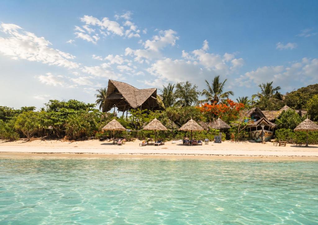 a beach with straw umbrellas and chairs and the ocean at Smile Boutique Beach hotel in Nungwi