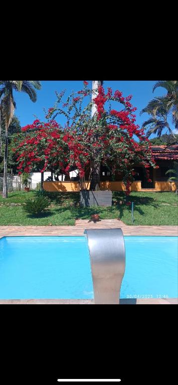 a chair in front of a swimming pool with red flowers at Rancho Dias Mágicos in Uberlândia