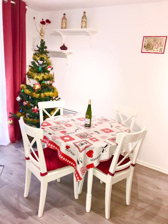 Lisela Cosy Meublé 3 étoiles Colmar à 250m du centre touristique, à côté de la route des vins – photo 9