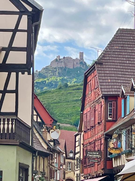 Lisela Cosy Meublé 3 étoiles Colmar à 250m du centre touristique, à côté de la route des vins – photo 24