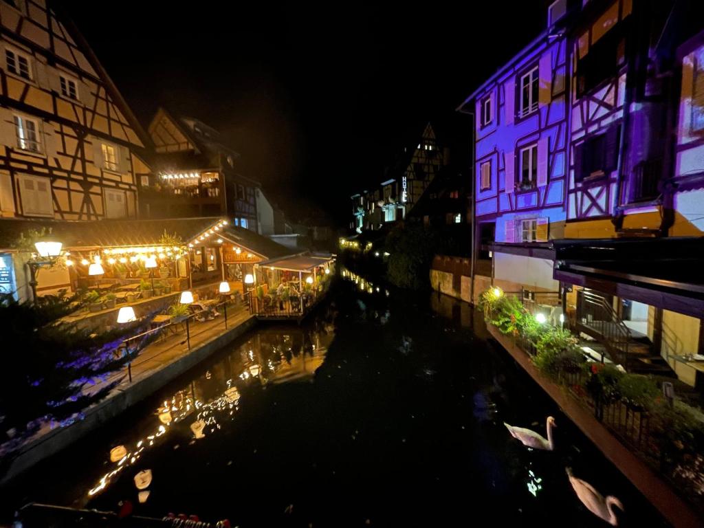 Lisela Cosy Meublé 3 étoiles Colmar à 250m du centre touristique, à côté de la route des vins – photo 27