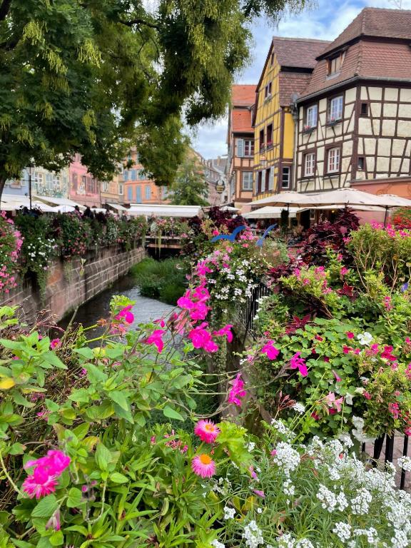 Lisela Cosy Meublé 3 étoiles Colmar à 250m du centre touristique, à côté de la route des vins – photo 28