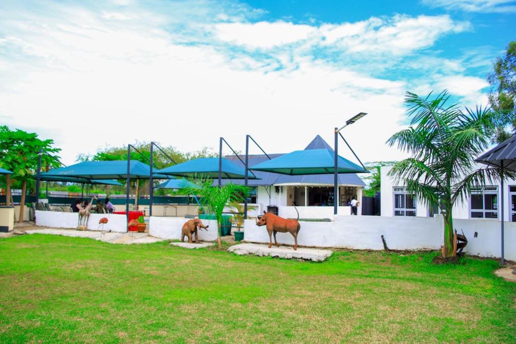a house with two cows standing outside of it at Grand Forty Garden Ltd in Kisumu