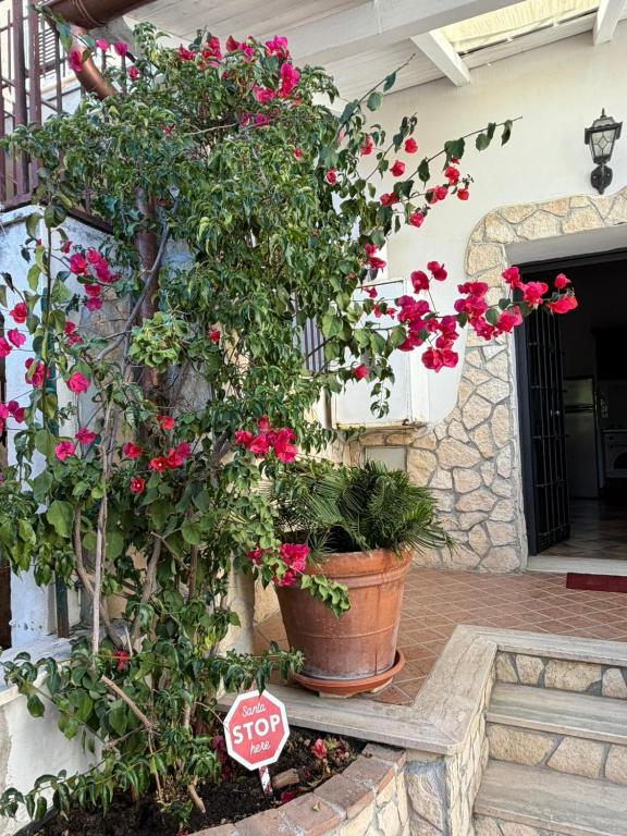 a stop sign in front of a plant with pink flowers at Bouganville House in Nettuno