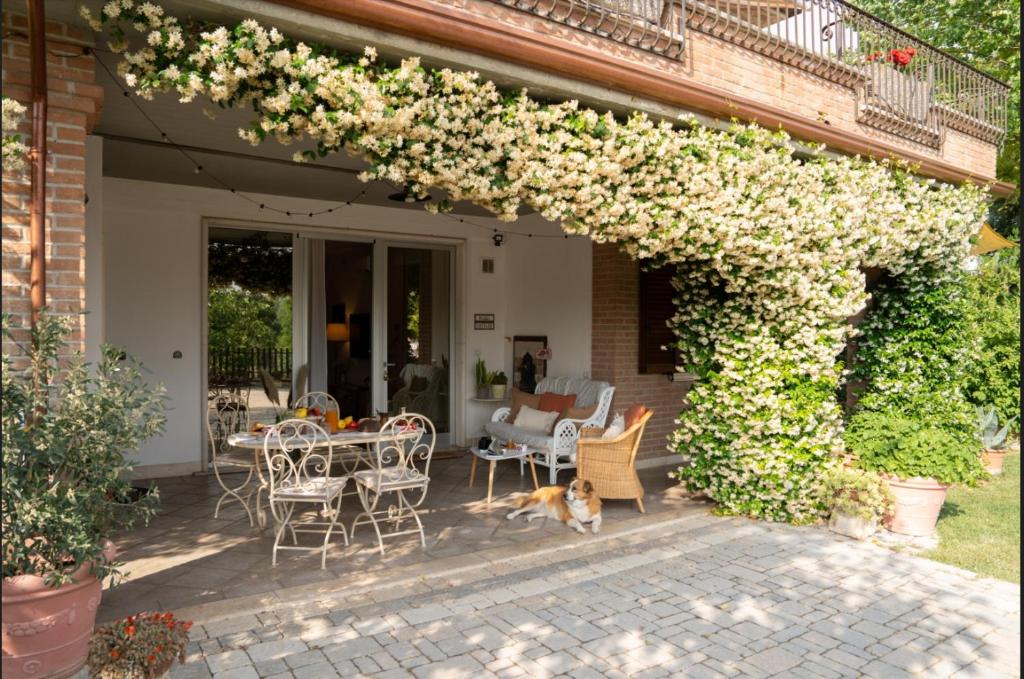 an outdoor patio with a table and chairs and a dog at RossoMattone CountryHouse in Sulmona