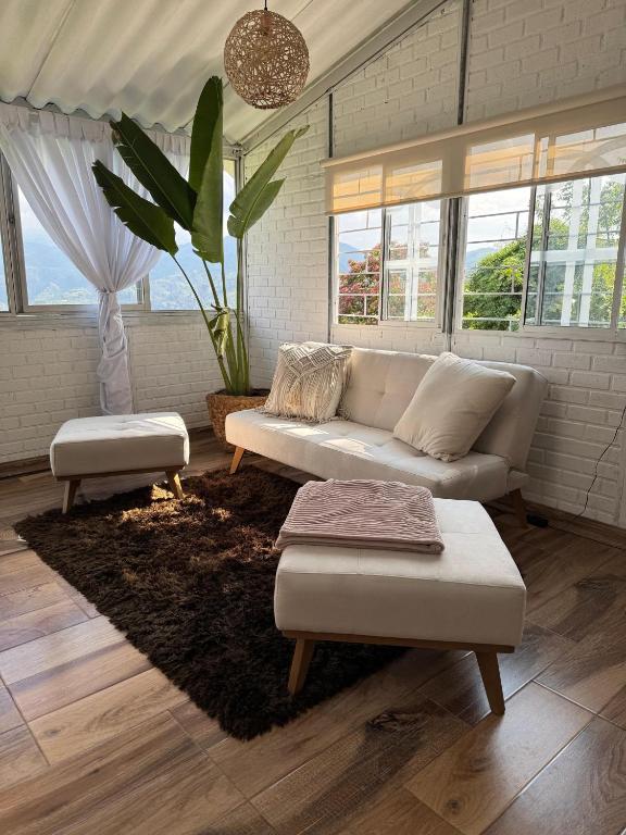 a living room with a couch and a plant at Cabaña entre Cafetales in Manizales