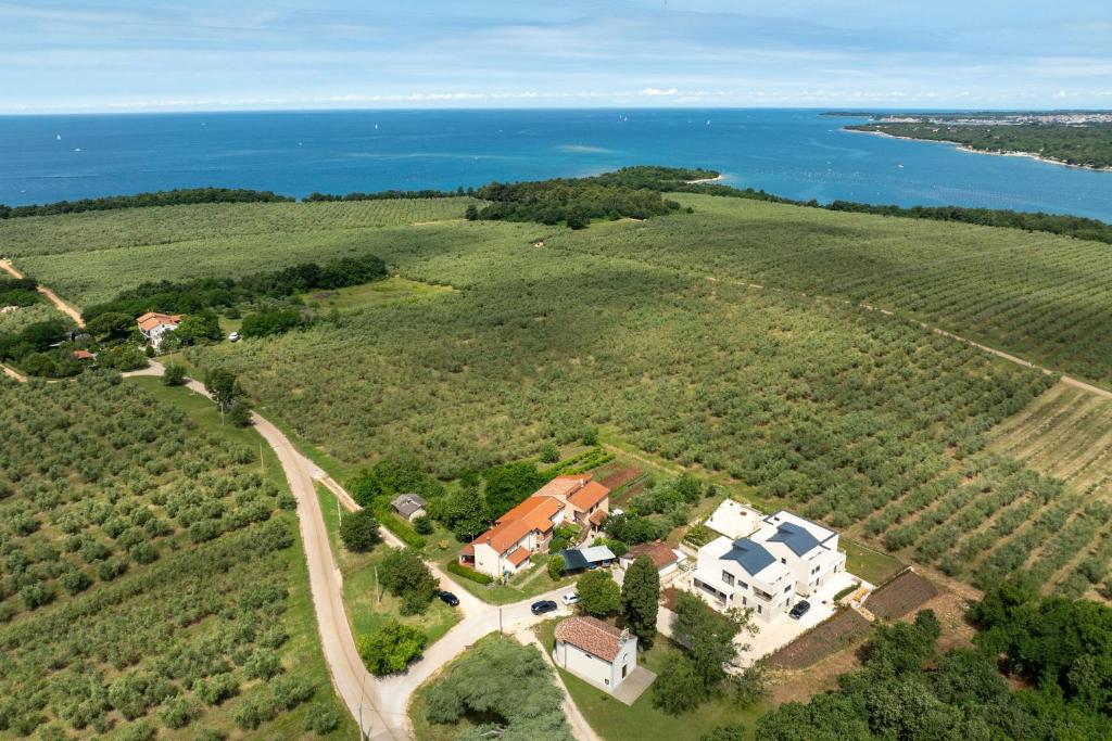 Apartments Soline
