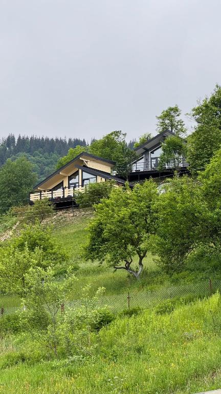 a house sitting on top of a lush green hill at Mountain soul hub будиночок на схилі in Krasnik
