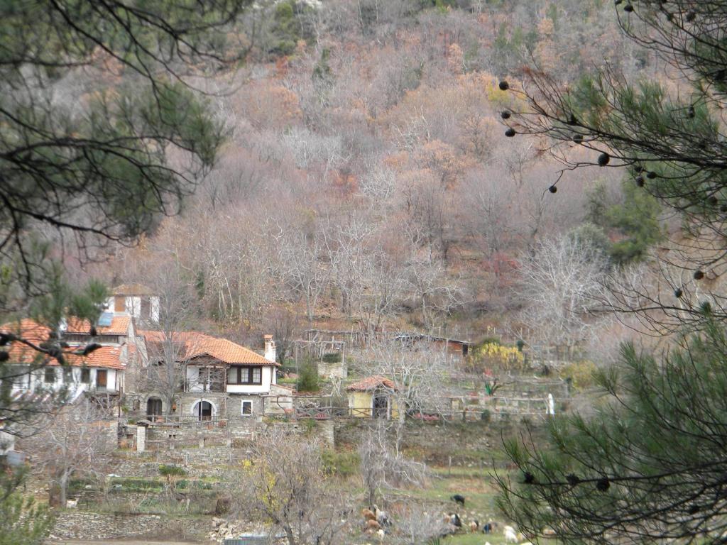 Táj Show holiday homes közelében