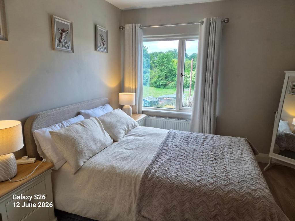 ein Schlafzimmer mit einem Bett und einem Fenster in der Unterkunft corrygarry in Kingscourt