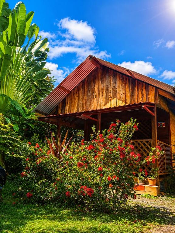 Ballena Oasis Homes & Glamping photo