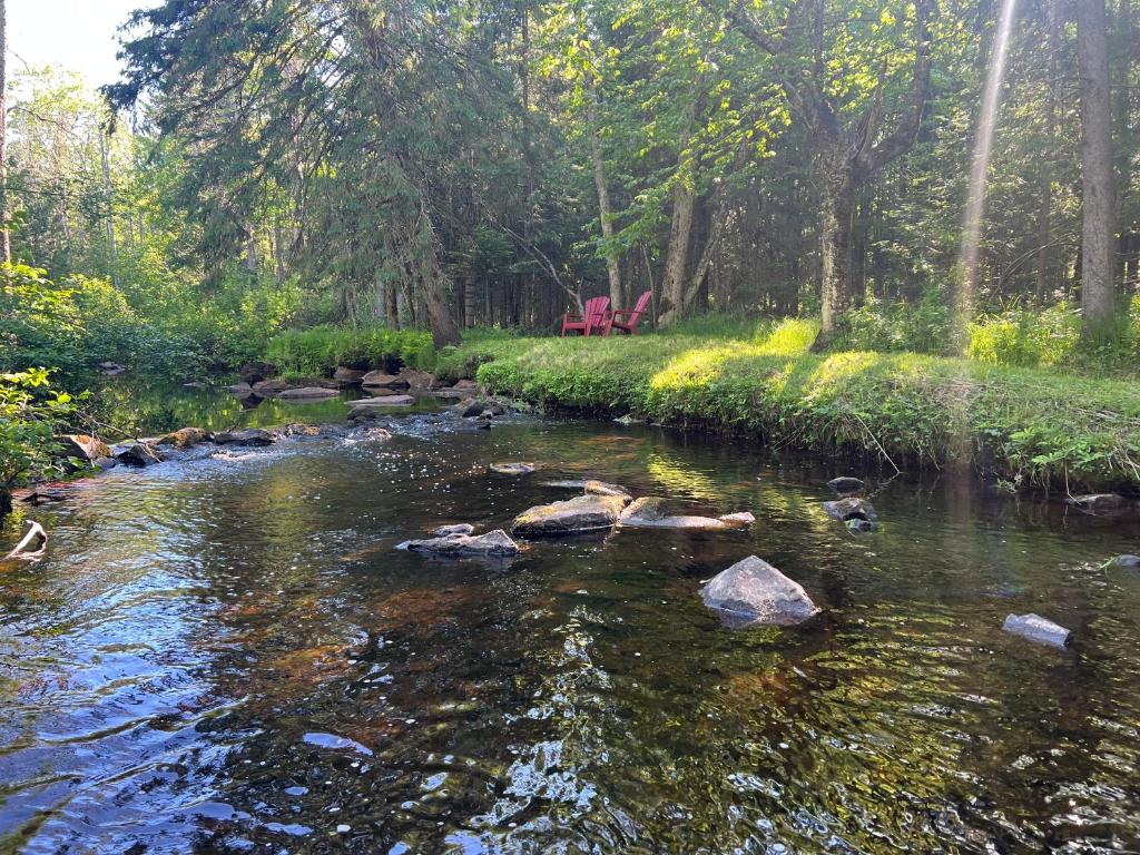 a stream with rocks in the middle of a forest at Creekside Chalet - Huge Indoor Spa in Bessemer
