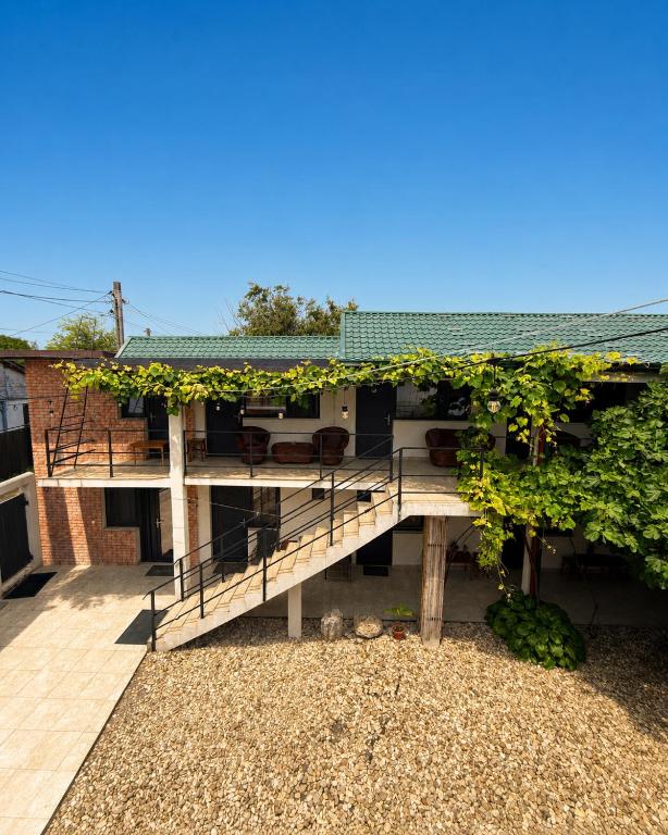 a building with a deck with a bunch of vines at Smochin Vama Veche Adults Only in Vama Veche