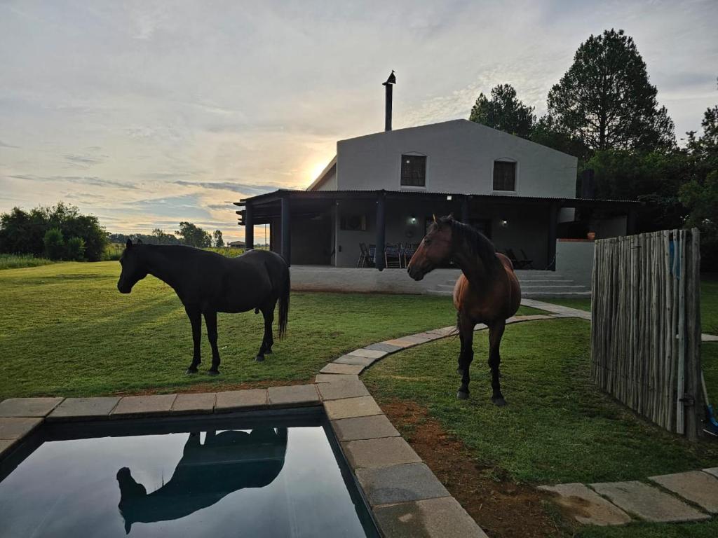 two horses standing in front of a house at Barnfires Farmhouse in Denysville
