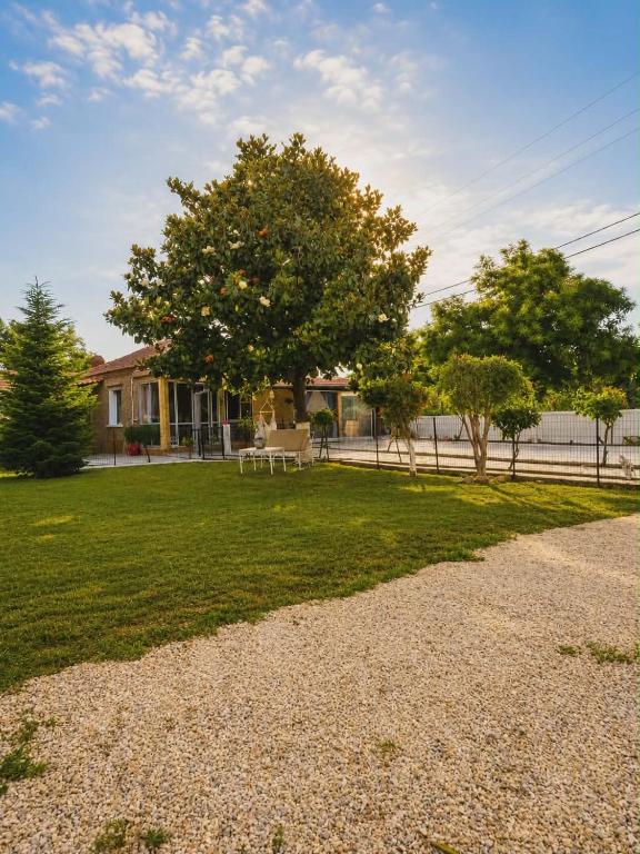 a grassy yard with a tree and a house at Kikas Stone House in Ávaton