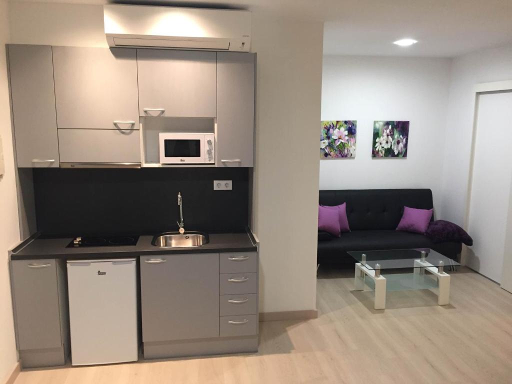 Kuchyň nebo kuchyňský kout v ubytování Apartahotel Baldiri