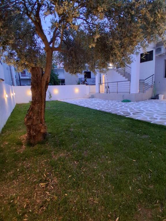 a tree in the grass in front of a building at Se Soul in Asprovalta