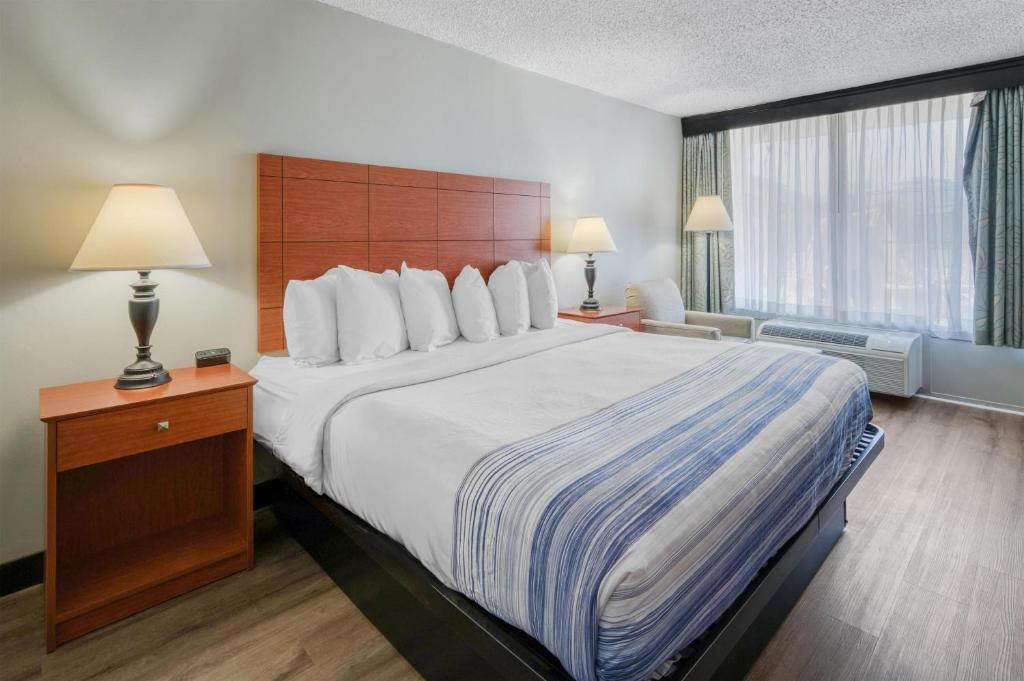 a hotel room with a large bed and a large window at Best Western Fredericksburg in Fredericksburg