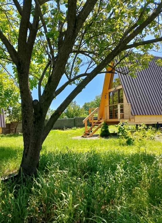 a small house with a tree in the yard at Akhateli in Ruispiri