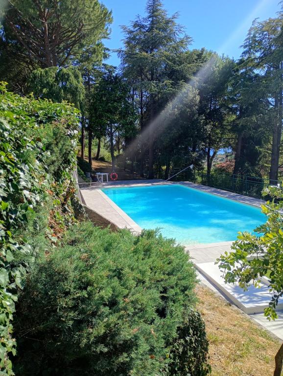 a swimming pool in a yard with trees at Le Mimose Terrace in Bordighera