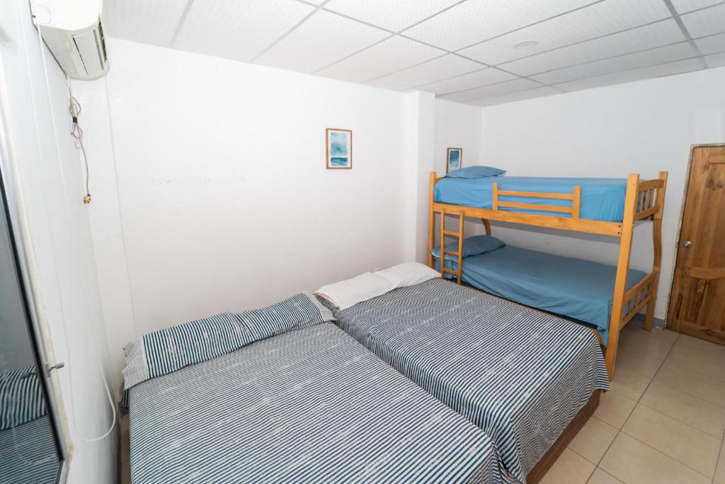 a room with two bunk beds and a bed at Pargo, habitación privada de Flor de Lis Beach House in Playas