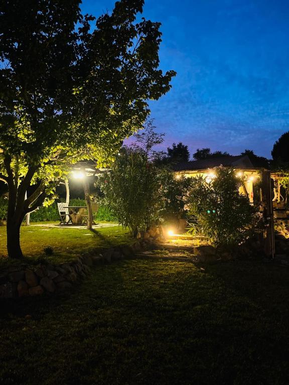 a garden at night with a tree and lights at Eco romantica in Baratti