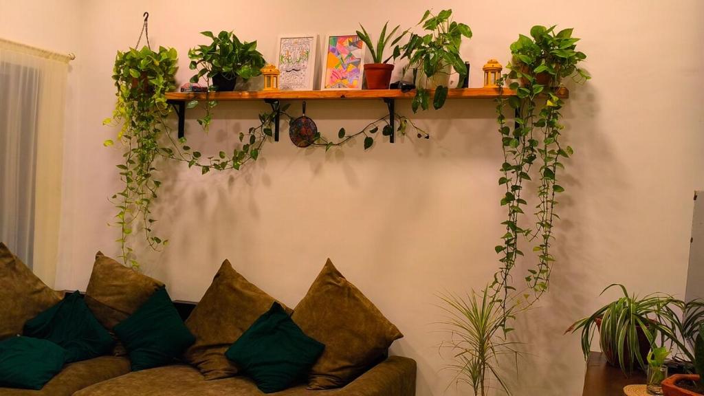 a living room with a couch and a shelf with plants at The Culture House in Mumbai