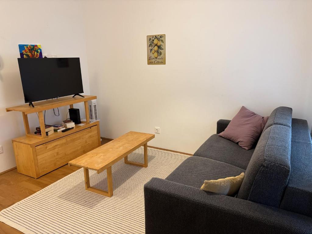 a living room with a blue couch and a tv at Cozy Apartment in Graz