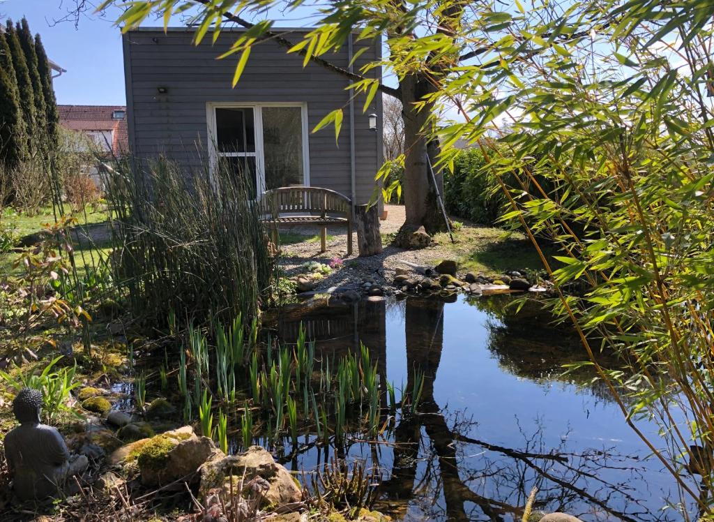 a pond in front of a house with a bench at Haus zum See in Uhldingen-Mühlhofen
