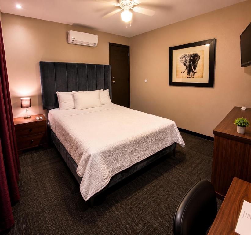 a hotel room with a bed and a desk at Barrio Inn Morelos in Monterrey