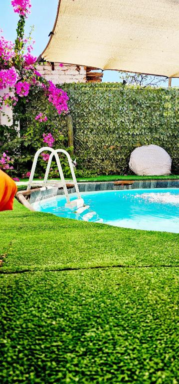 Swimmingpoolen hos eller tæt på Sunset Hostel - Centro -
